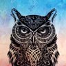 mdeggar profil fotoğrafı