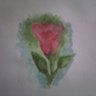 butterfly_roses's profile picture
