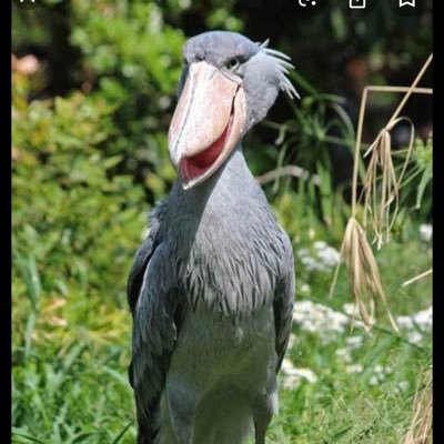 ใใใ's profile picture