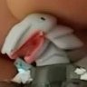 GibbyGarbo 的头像
