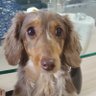 yuko's profile picture