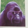 Profilbild von Santista