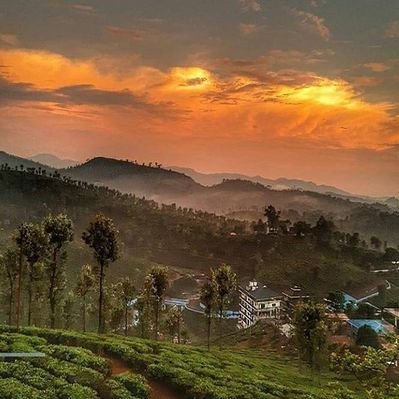 Rajie69923433's profile picture