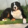 Pria im Herzen - Amy & Jeany bei mir's profile picture