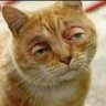 abuamna90 profil fotoğrafı
