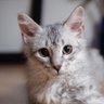 Фото профиля (~Jane~) I love animals 🇨🇦