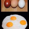 POMAK... profil fotoğrafı