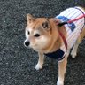 K☆T 的头像