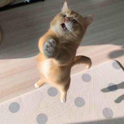 aka549999's profile picture