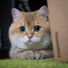 Александр Ковальчук profil fotoğrafı