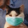 Фото профиля Nationalist Bubble 🍉 (@natibubble.bsky.social)