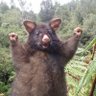 happygolucky's profile picture