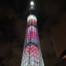skytree 的头像