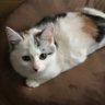 まろちゃん's profile picture