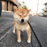 desmond profil fotoğrafı