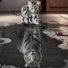 HighRisk profil fotoğrafı
