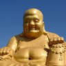 鬼 的头像