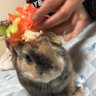 Profilbild von えりちゃ