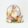 ぽんまるさん。 profil fotoğrafı
