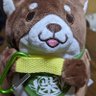 豆苗's profile picture