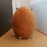 キンクマ豆知識🐹 的头像