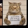 ターキー's profile picture