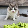 ウユ profil fotoğrafı