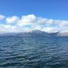 にんじん profil fotoğrafı