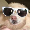 Profilbild von ThorN Odinson