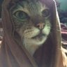 Hakan's profile picture