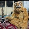Profilbild von الباسلي