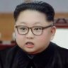 金太阳 profil fotoğrafı
