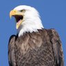 700yard profil fotoğrafı