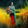 dgxinyang's profile picture