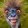 Master_Nasty's profile picture