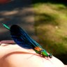 🐞Carmen🐞 profil fotoğrafı