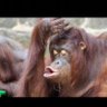 GANA029 profil fotoğrafı