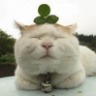 Jochem's profile picture