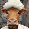Mr Bael's profile picture