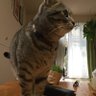 諸富一夫 profil fotoğrafı