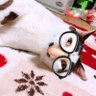 Фото профиля おにょさん。感覚ピエロ押し