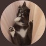 Profilbild von 🎈NooWzie 🚨🇫🇷