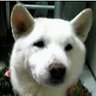å€å¥å±±ç»ä»'s profile picture