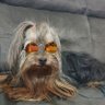 Profilbild von Giulia