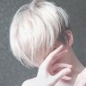 やまだぽんた's profile picture