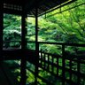 ウネ's profile picture