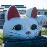 ブラッグス外野手 profil fotoğrafı