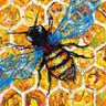 mellifera 的头像
