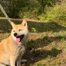 みー0227 profil fotoğrafı