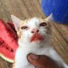Artem profil fotoğrafı